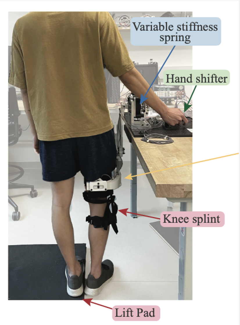Experimental Hip Exoskeleton Setup